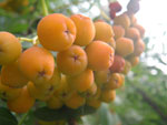 2010-07-11_19-02-57_IMGP1552.jpg