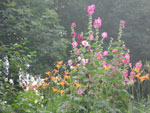 2010-07-11_19-46-40_IMGP1561.jpg