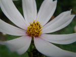 2010-07-11_19-48-03_IMGP1562.jpg