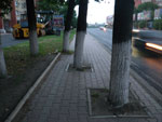 2010-07-11_22-00-24_IMGP1574.jpg