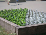 2010-07-16_13-49-30_IMGP1739.jpg
