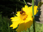 2010-07-18_18-43-52_IMGP1908.jpg