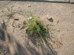 2010-07-18_18-45-44_IMGP1910.jpg