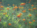 2010-07-18_19-14-24_IMGP1914.jpg