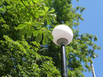 2010-07-19_12-24-45_IMGP1935.jpg