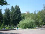 Photos