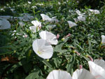 2010-07-23_12-04-34_IMGP1998.jpg