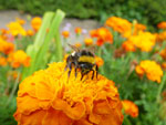 2010-07-24_16-07-45_IMGP2099.jpg