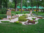 2010-07-24_16-22-33_IMGP2118.jpg