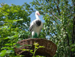 2010-07-24_16-30-42_IMGP2124.jpg