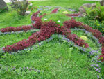 2010-07-24_16-32-15_IMGP2128.jpg