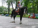 2010-07-24_16-45-26_IMGP2134.jpg