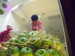 2010-07-25_22-26-57_IMGP2204.jpg