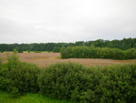 2010-07-26_15-16-26_IMGP2232.jpg