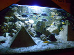 2010-07-26_20-19-27_IMGP2251.jpg
