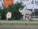 2010-07-27_12-26-19_IMGP2313.jpg