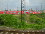 2010-07-27_16-57-27_IMGP2325.jpg
