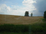 2010-07-27_17-43-55_IMGP2336.jpg