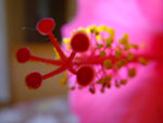 IMGP2389.jpg