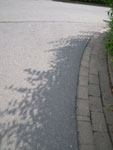 IMGP2399.jpg
