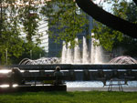 IMGP2412.jpg