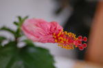 2010-07-31_16-25-20_DSC_8966.jpg