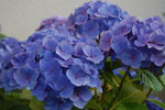 2010-07-31_19-55-47_DSC_8981.jpg