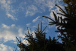 2010-07-31_19-56-39_DSC_8983.jpg
