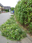 2010-08-02_14-22-29_IMGP2537.jpg
