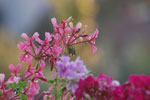 2010-08-04_06-39-13_DSC_9070.jpg