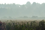 2010-08-04_06-46-46_DSC_9089.jpg