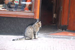 2010-08-20_16-04-04_DSC_9510.jpg