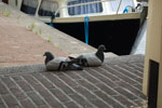 2010-08-20_17-18-39_DSC_9581.jpg