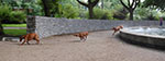 2010-08-20_17-28-25_DSC_9592-pan.jpg