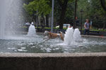 2010-08-20_17-28-50_DSC_9596.jpg