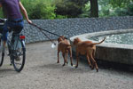 2010-08-20_17-30-54_DSC_9612.jpg