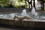 2010-08-20_18-20-48_DSC_9623.jpg