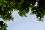 2010-08-20_18-22-37_DSC_9636.jpg