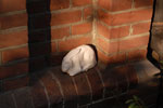 2010-08-20_18-54-59_DSC_9667.jpg