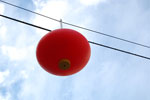 2010-08-21_17-06-17_DSC_9761.jpg