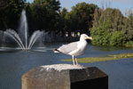 2010-08-21_18-01-59_DSC_9795.jpg