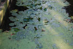 2010-08-21_18-25-59_DSC_9845.jpg