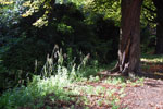 2010-08-21_18-40-33_DSC_9871.jpg