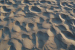 2010-08-21_20-11-15_DSC_9938.jpg