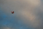 2010-08-21_20-23-03_DSC_9979.jpg