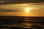 2010-08-21_20-30-38_DSC_9989.jpg