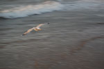 2010-08-21_20-31-42_DSC_9995.jpg