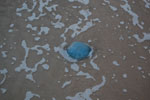 2010-08-21_20-53-32_DSC_0043.jpg