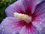 2010-08-22_13-33-53_IMGP2851.jpg