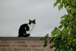 2010-08-22_19-37-36_DSC_0073.jpg